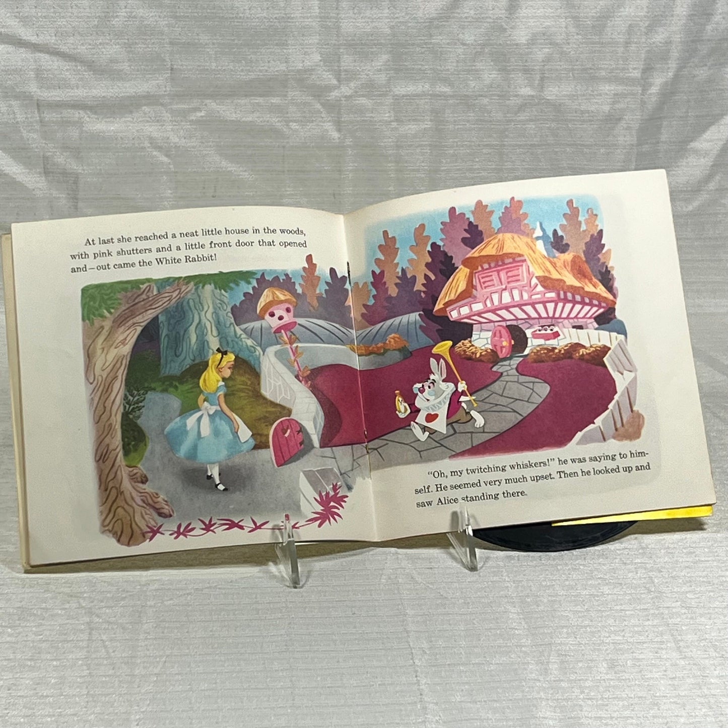Alice In Wonderland Read along Record