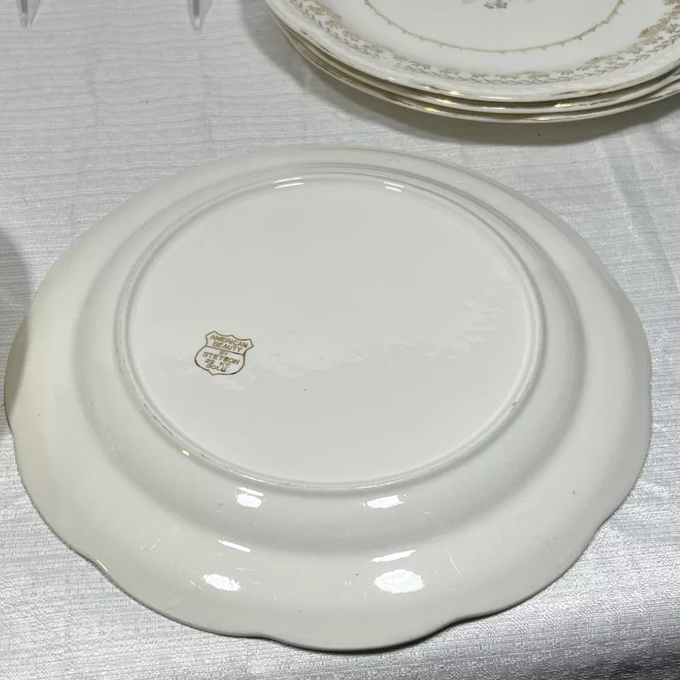 Stetson 22K Gold American Beauty Dinner Plate set of 7 - wear and crazing