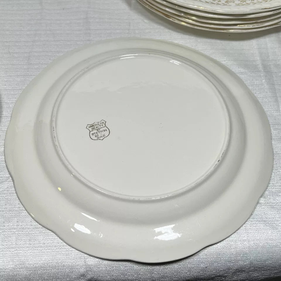 Stetson 22K Gold American Beauty Dinner Plate set of 7 - wear and crazing