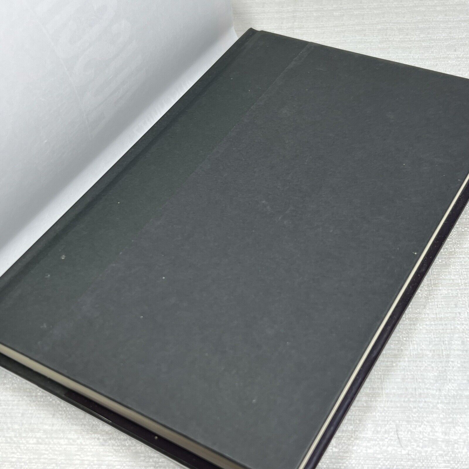 Auschwitz Foreword by Bruno Bettelheim - Book