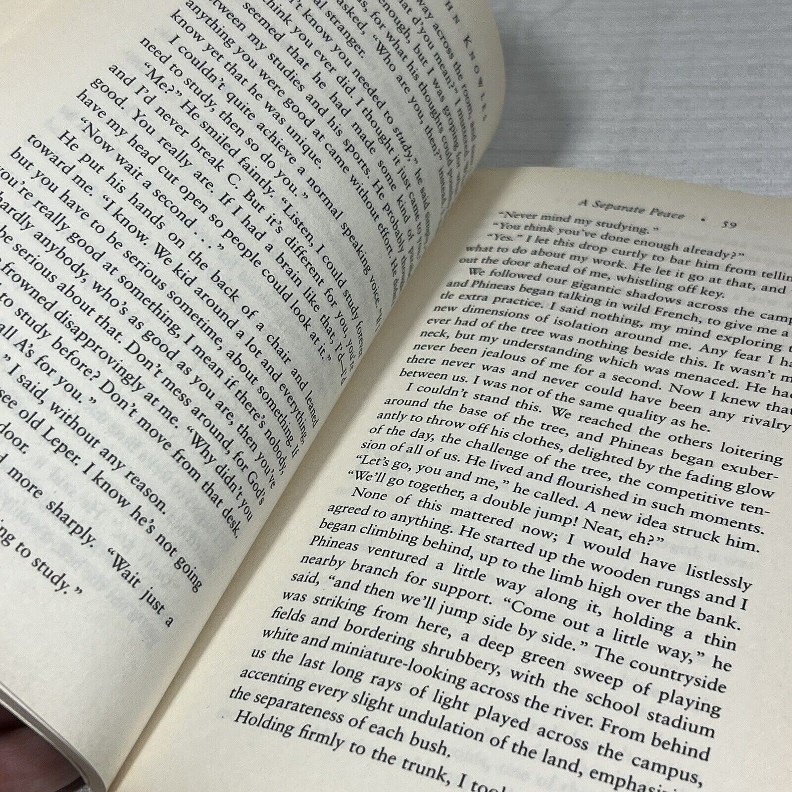 A Seperate Peace by John Knowle's - Book