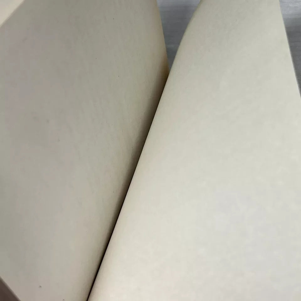 A Series of Unfortunate Events Volume 10 The Slippery Slope - Book