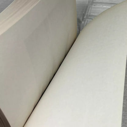 A Series of Unfortunate Events Volume 7 The Vile Village - Book