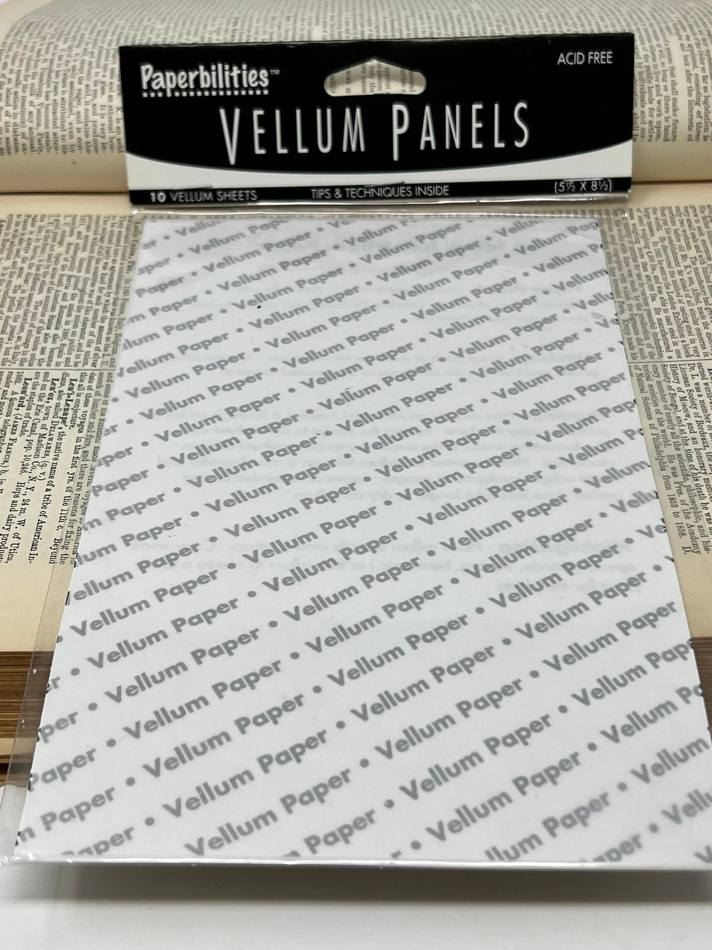 Paperbilities Acid Free Vellum Panels - 10 Vellum Sheets - 5.5" x 8.5" - Tips and Techniques included in package - scrapbooking, journals