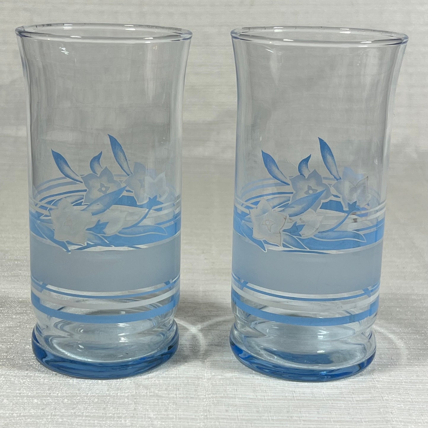 Libbey Misty Blue Arbor Glasses - Set of 2