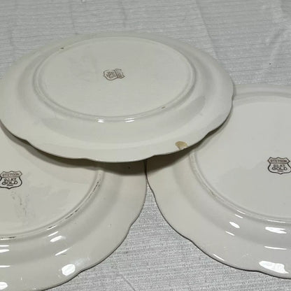 Stetson 22K Gold American Beauty Salad Plate Set of 11 - Some wear and chips